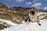 52 Nika si rinfresca sulla neve sullo sfondo dei Monti Tartano e Azzaredo